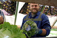 Lettuce Harvester